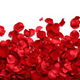 Illustration for article titled A Perfume That Smells Like Roses—But Is Actually Made from Yeast